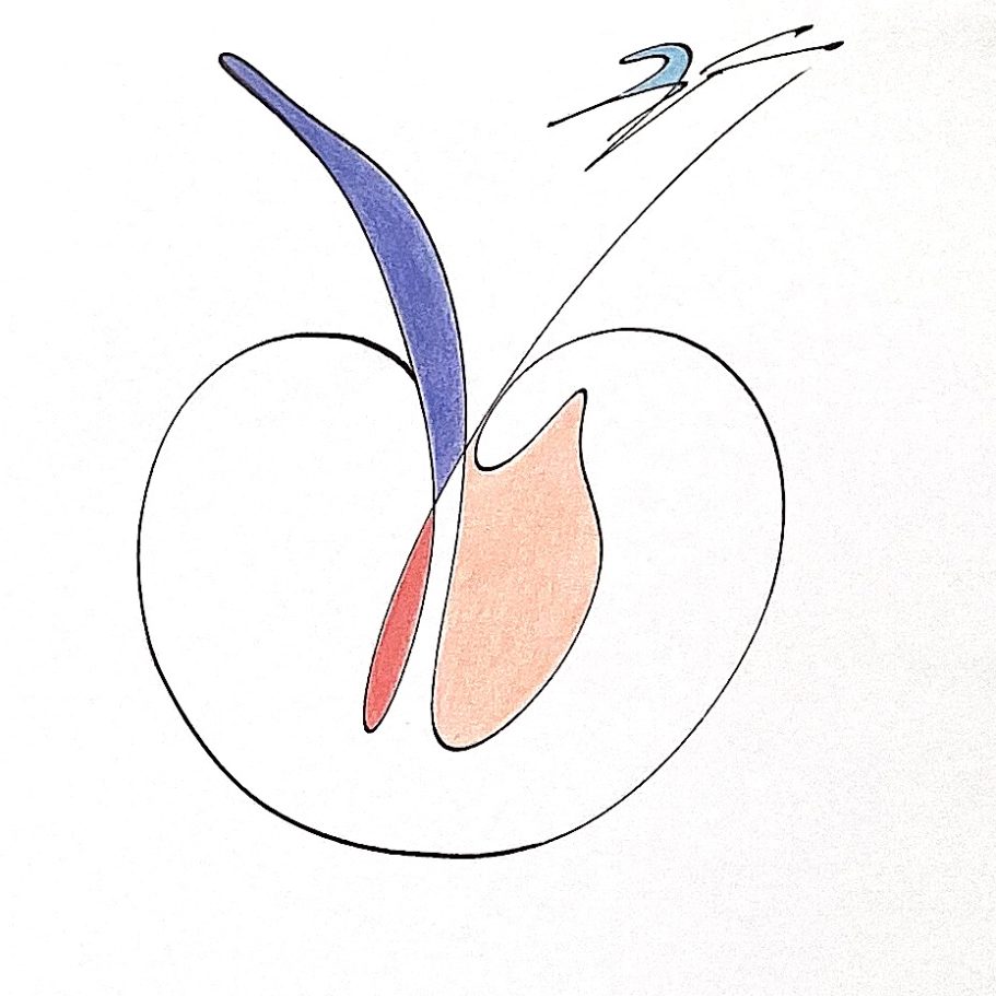 Bildschrift Freiheit