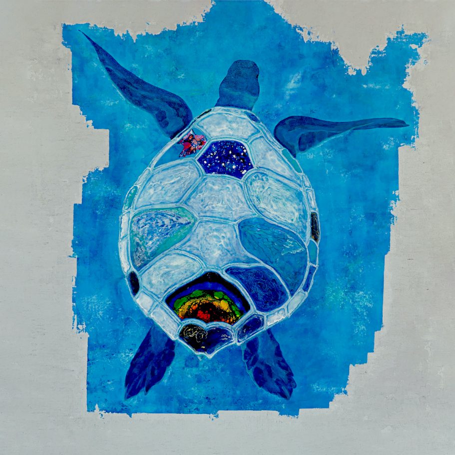 Schildkröte schwebend gross