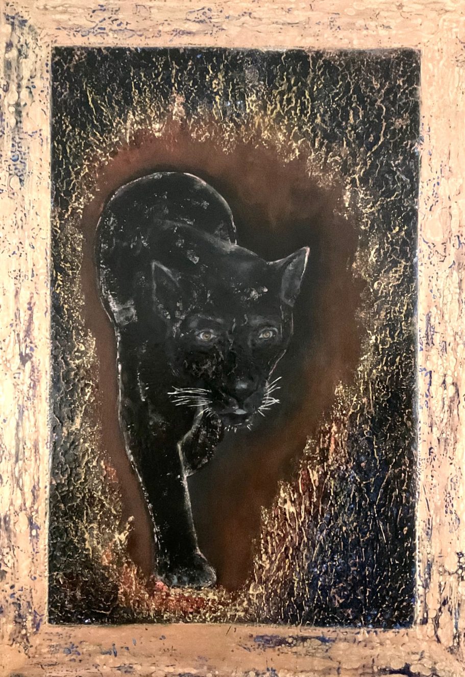 jaguar schwarz